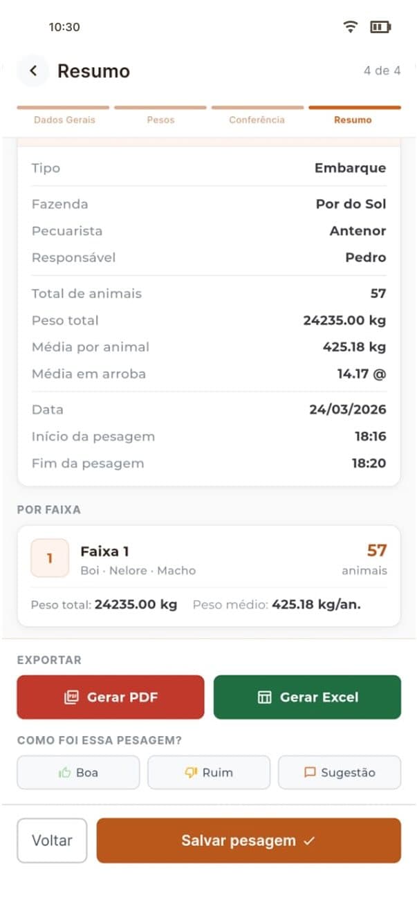 Pesagem Gado Certo