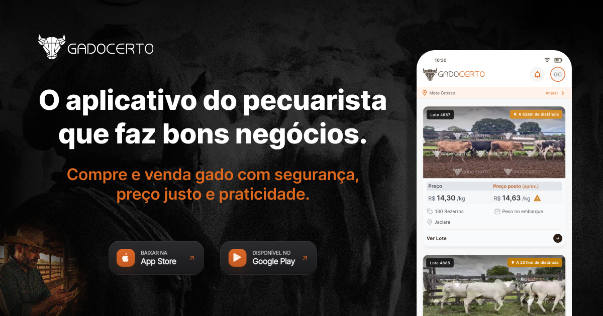 Gado Certo Servicos de Intermediacao de Negocios S/a